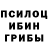 Галлюциногенные грибы GOLDEN TEACHER Mark Crossley