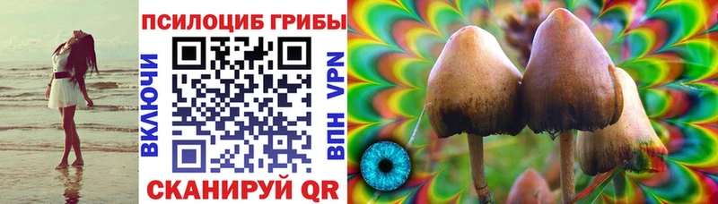 kraken   Энем  Псилоцибиновые грибы GOLDEN TEACHER 