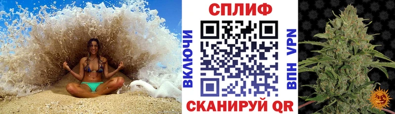 Бошки марихуана сатива  Энем 